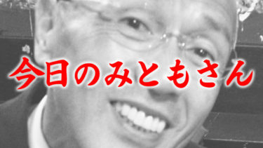 今日のみともさん