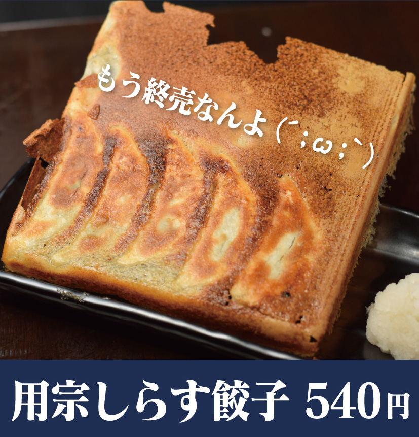 用宗しらす餃子終売のお知らせ│静岡の美味しいもの ガッツ